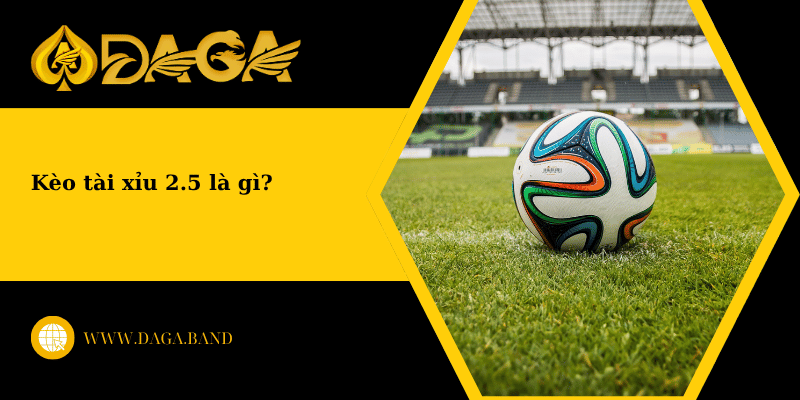 Khám phá kèo tài xỉu 2.5 là gì? Kinh nghiệm chơi kèo hay